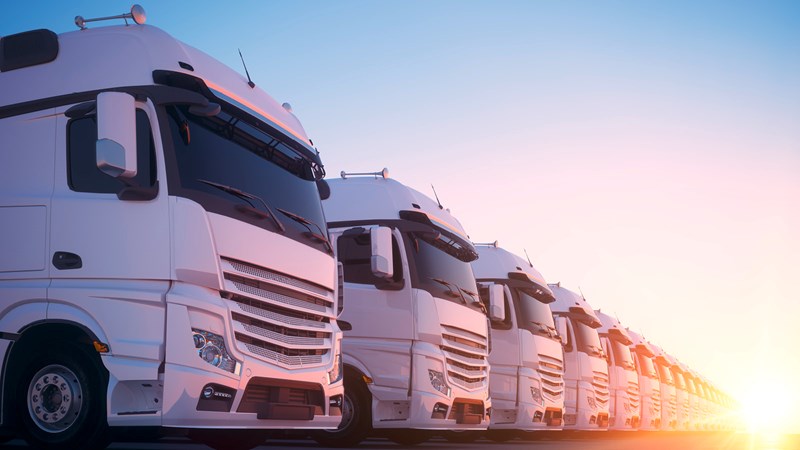 Die intelligente VDO Software Tachograph Management